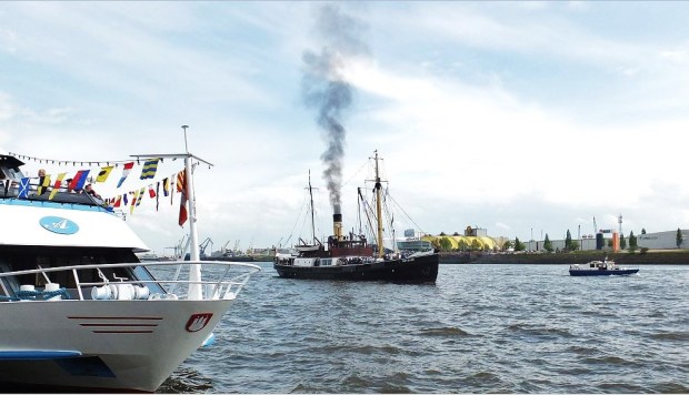 Hamburg - Mai 2015  - 826. Hafengeburtstag - Kieler Museumsdampfschiff (Tonnenleger, 1906) ) BUSSARD
